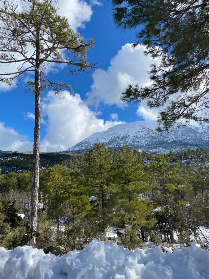 Casita Vista Alegre Daire Castril Dış mekan fotoğraf