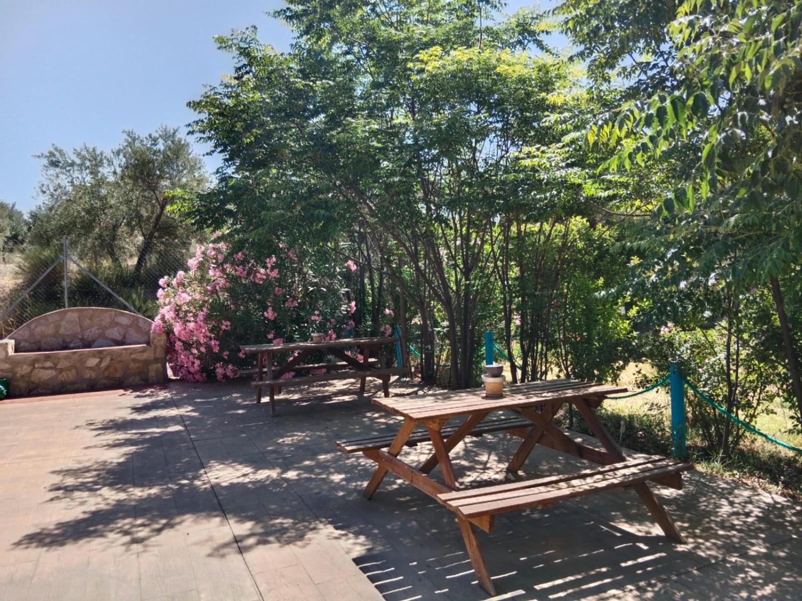 Casita Vista Alegre Daire Castril Dış mekan fotoğraf