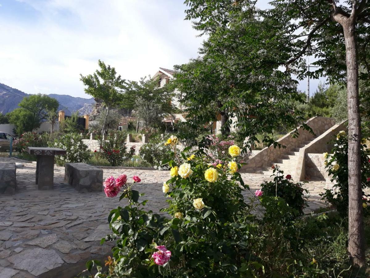 Casita Vista Alegre Daire Castril Dış mekan fotoğraf